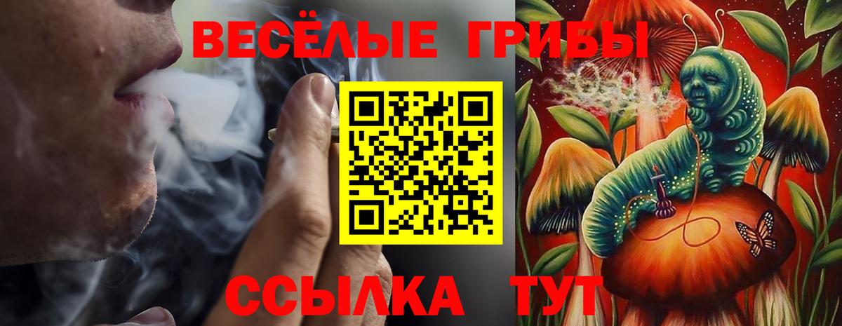 Марихуана  Cocaine  КЕТАМИН  АМФЕТАМИН кристаллы  Вход с VPN  Баксан  Мефедрон   ГАШИШ 