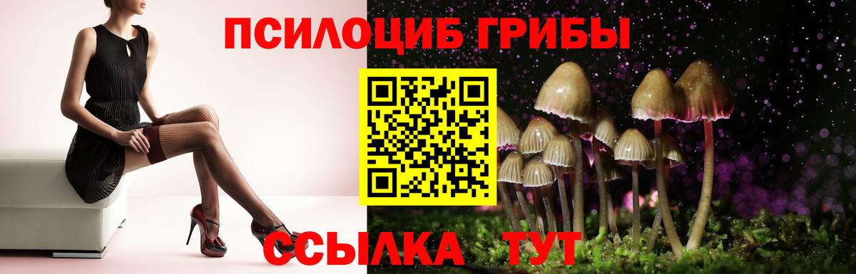 Псилоцибиновые грибы Cubensis  Галлюциногенные грибы Psilocybe  Вход с VPN  Баксан 